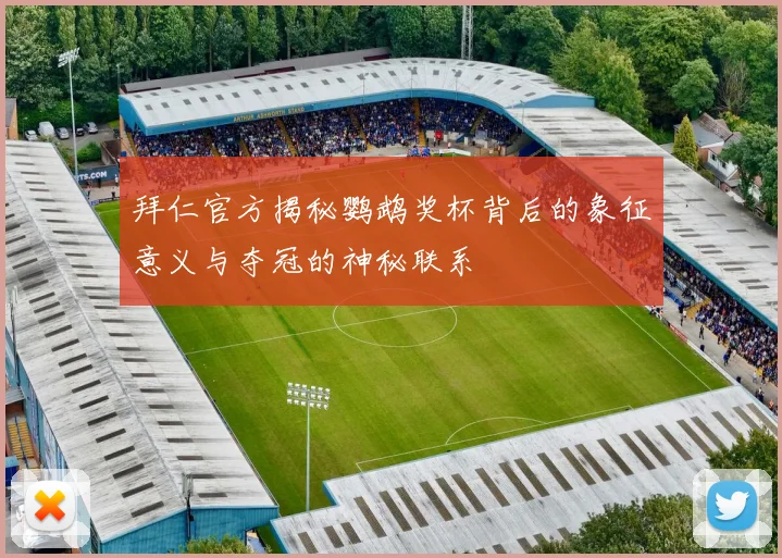 拜仁官方揭秘鹦鹉奖杯背后的象征意义与夺冠的神秘联系
