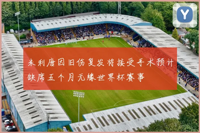 米利唐因旧伤复发将接受手术预计缺席五个月无缘世界杯赛事